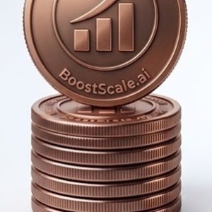 100 BoostScale.ai Credits